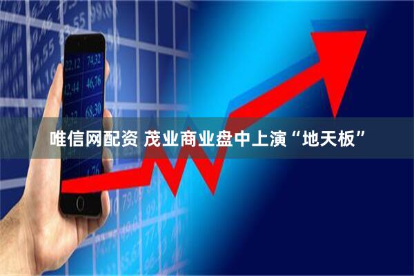 唯信网配资 茂业商业盘中上演“地天板”